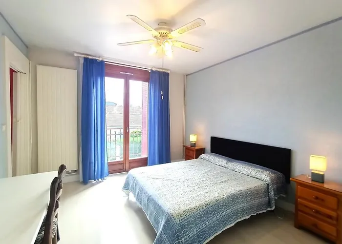 T3 Spacieux Entre & Lac, Wifi, Animaux Acceptes - Fr-1-555-62 *