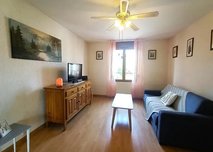 T3 Spacieux Entre & Lac, Wifi, Animaux Acceptes - Fr-1-555-62 アパート *